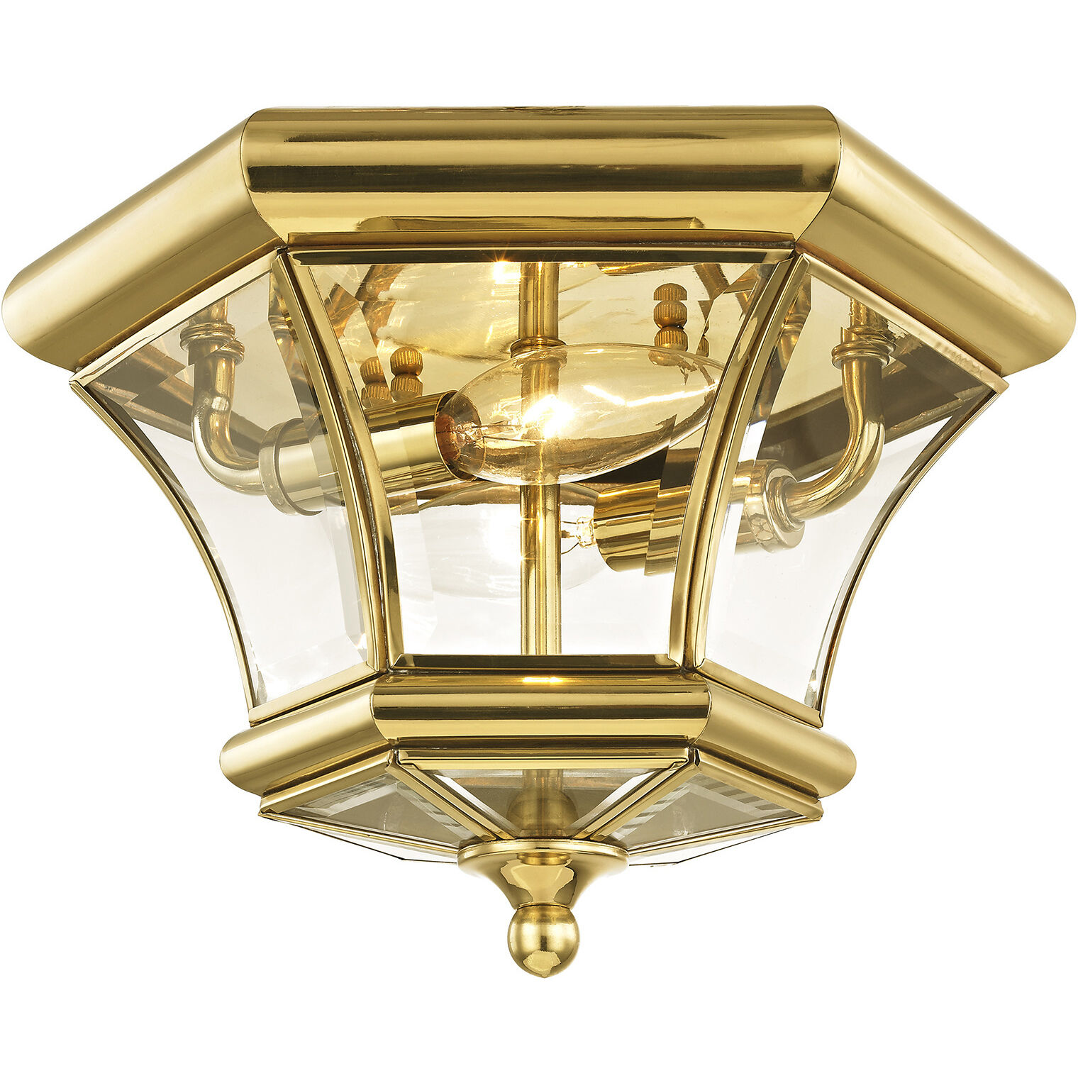 Monterey/Georgetown 2 Light 11 inch Polished Brass Outdoor Ceiling Mount