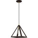 Pinnacle 1 Light 10 inch Bronze with Antique Brass Accents Pendant Ceiling Light