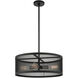 Industro 4 Light 20 inch Black with Brushed Nickel Accents Chandelier Ceiling Light