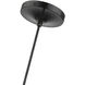 Everett 1 Light 9 inch Shiny Black with Chrome Finish Accents Pendant Ceiling Light