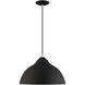 Allison 1 Light 16 inch Black Mini Pendant Ceiling Light