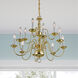 Williamsburgh 12 Light 26 inch Polished Brass Chandelier Ceiling Light