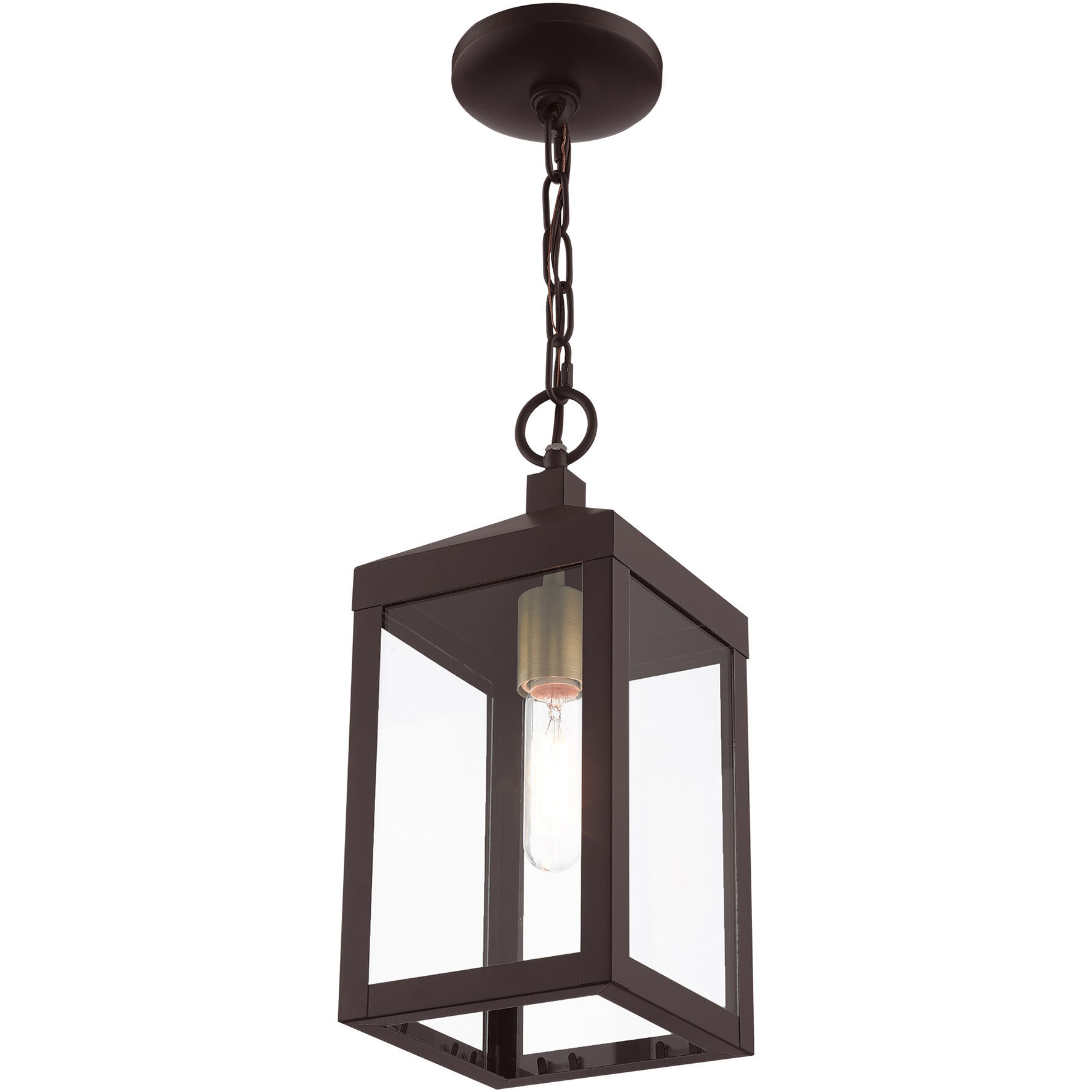 Nyack 1 Light 6 inch Bronze with Antique Brass Cluser Outdoor Pendant Lantern