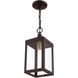 Nyack 1 Light 6 inch Bronze with Antique Brass Cluser Outdoor Pendant Lantern