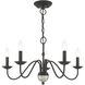 Windsor 5 Light 24 inch Black Chandelier Ceiling Light