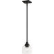 Aragon 1 Light 5 inch Black Mini Pendant Ceiling Light
