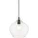 Aldrich 1 Light 10 inch Black with Brushed Nickel Accent Pendant Ceiling Light