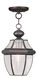 Monterey 1 Light 9 inch Bronze Outdoor Pendant Lantern 