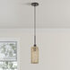 Twinewell 1 Light 5.13 inch Bronze Mini Pendant Ceiling Light