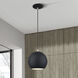Kuppola 9.25 inch Black with Brushed Nickel Accents Globe Pendant Ceiling Light, Globe