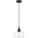 Glendon 1 Light 8.25 inch Black with Brushed Nickel Accents Glass Pendant Ceiling Light