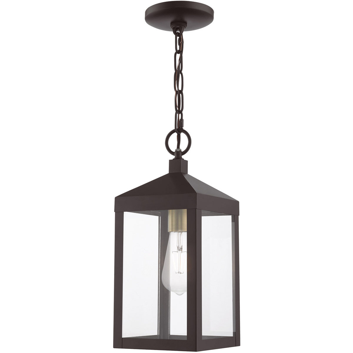 Nyack 1 Light 6 inch Bronze with Antique Brass Cluser Outdoor Pendant Lantern