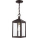 Nyack 1 Light 6 inch Bronze with Antique Brass Cluser Outdoor Pendant Lantern