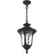 Oxford 1 Light 10 inch Textured Black Outdoor Pendant Lantern