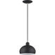 Domma 1 Light 8 inch Black with Brushed Nickel Accents Mini Pendant Ceiling Light