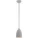 Arlington 1 Light 6 inch Nordic Gray with Brushed Nickel Accents Pendant Ceiling Light