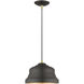 Endicott 1 Light 10 inch Bronze with Antique Brass Finish Accents Pendant Ceiling Light in Bronze with Antique Brass Accent