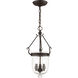 Jefferson 3 Light 10 inch Bronze Chain Lantern