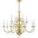 Williamsburgh 12 Light 32 inch Polished Brass Chandelier Ceiling Light