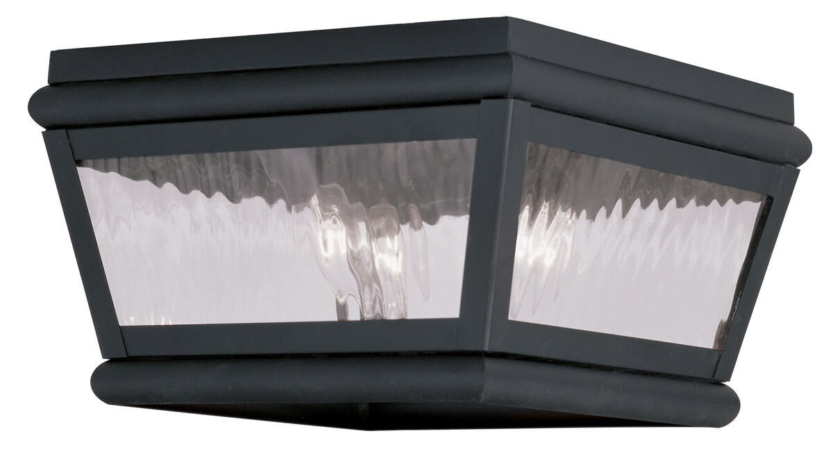 Exeter 2 Light 8.00 inch Outdoor Ceiling Light