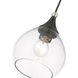 Catania 1 Light 7 inch Black with Brushed Nickel Accents Mini Pendant Ceiling Light