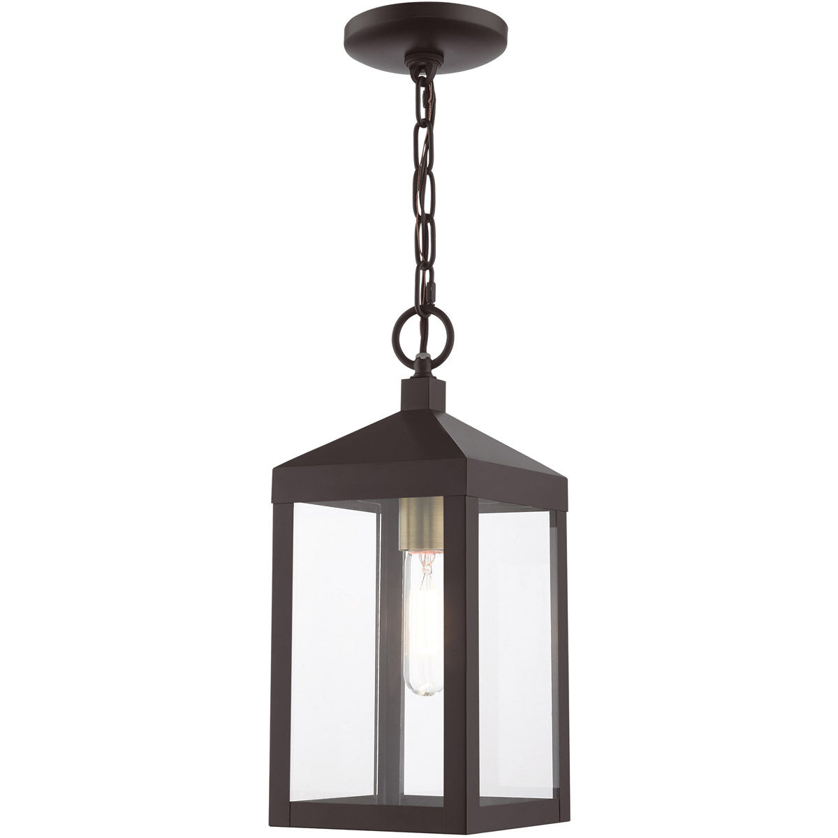 Nyack 1 Light 6 inch Bronze with Antique Brass Cluser Outdoor Pendant Lantern