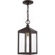 Nyack 1 Light 6 inch Bronze with Antique Brass Cluser Outdoor Pendant Lantern