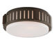 Portland 2 Light 13 inch Olde Bronze Flush Mount Ceiling Light