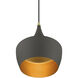 Waldorf 1 Light 9.5 inch Bronze with Antique Brass Finish Accents Pendant Ceiling Light in Bronze with Antique Brass Accent
