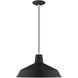Allison 1 Light 16 inch Black Mini Pendant Ceiling Light