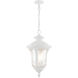 Oxford 3 Light 11 inch Textured White Outdoor Pendant Lantern