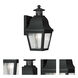 Amwell 1 Light 14 inch Black Outdoor Wall Lantern