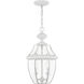 Monterey 2 Light 11 inch White Outdoor Pendant Lantern