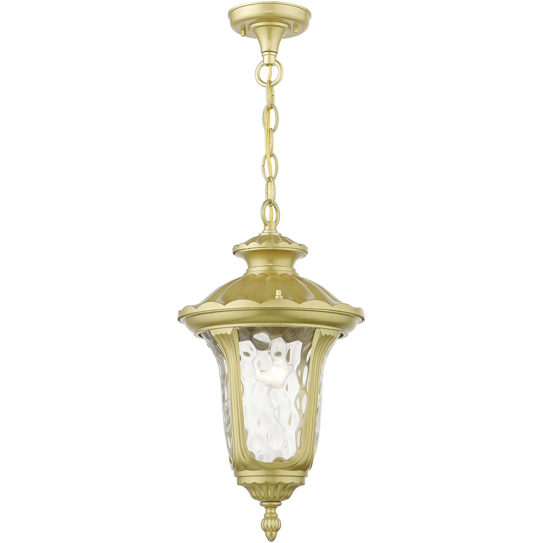 Oxford 1 Light 9.5 inch Soft Gold Outdoor Pendant Lantern, Medium