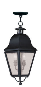 Amwell 2 Light 8 inch Black Outdoor Pendant Lantern