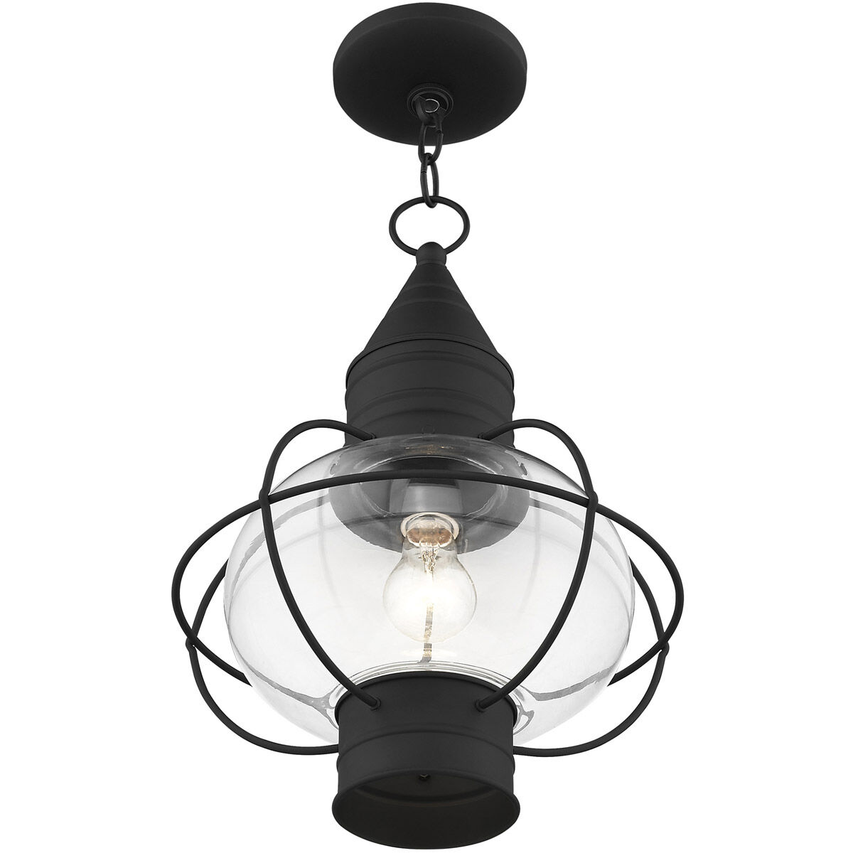 Newburyport 1 Light 12 inch Black Outdoor Pendant Lantern