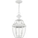 Monterey 2 Light 11 inch White Outdoor Pendant Lantern