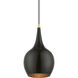 Andes 1 Light 8 inch Shiny Black with Polished Brass Accents Mini Pendant Ceiling Light