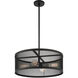 Industro 4 Light 20 inch Black with Brushed Nickel Accents Chandelier Ceiling Light