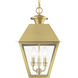 Wentworth 3 Light 12 inch Natural Brass Outdoor Pendant Lantern, Large