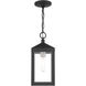 Nyack 1 Light 6 inch Black with Brushed Nickel Cluster Outdoor Pendant Lantern