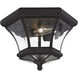 Monterey/Georgetown 2 Light 11 inch Black Outdoor Ceiling Mount