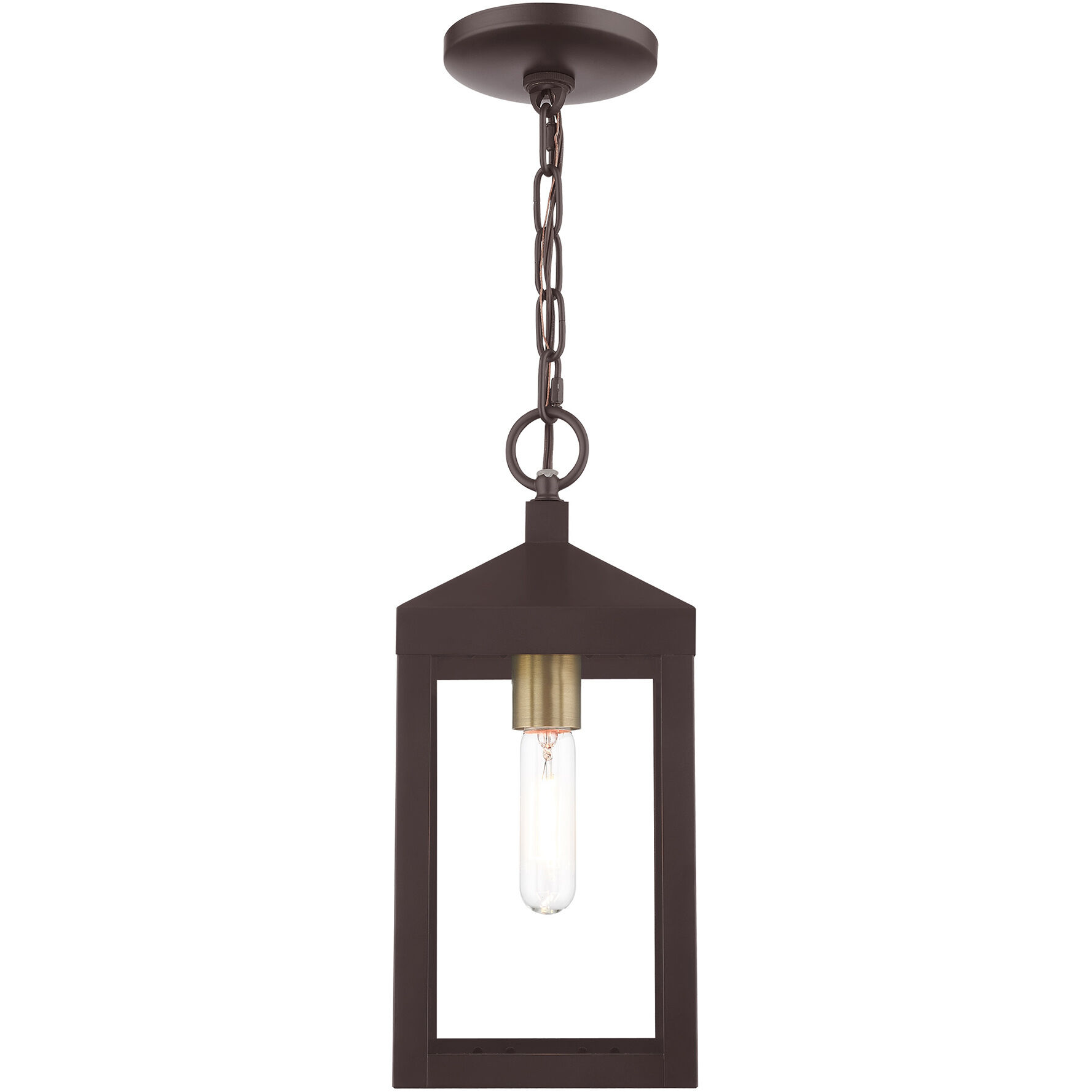 Nyack 1 Light 6 inch Bronze with Antique Brass Cluser Outdoor Pendant Lantern