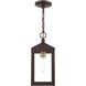 Nyack 1 Light 6 inch Bronze with Antique Brass Cluser Outdoor Pendant Lantern