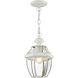 Monterey 1 Light 8.5 inch White Outdoor Pendant Lantern