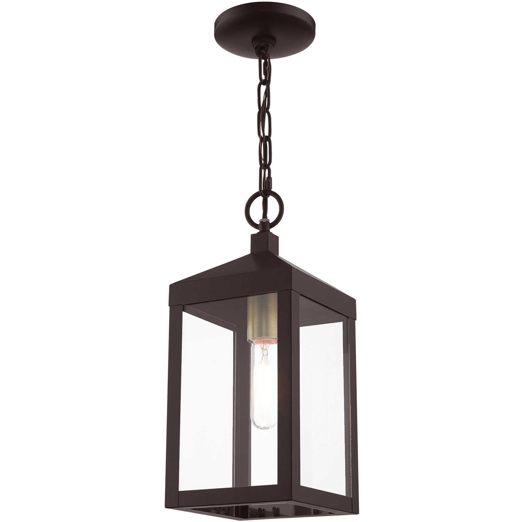 Nyack 1 Light 6 inch Bronze with Antique Brass Cluser Outdoor Pendant Lantern