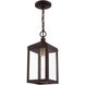 Nyack 1 Light 6 inch Bronze with Antique Brass Cluser Outdoor Pendant Lantern