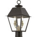 Wentworth 2 Light 17.5 inch Bronze with Antique Brass Finish Cluster Outdoor Post Top Lantern, Medium
