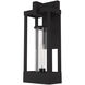 Delancey 1 Light 20 inch Black Outdoor Wall Lantern
