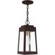 Oslo 1 Light 6 inch Bronze Outdoor Pendant Lantern